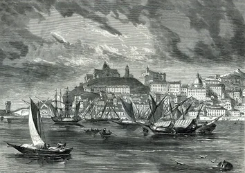 Ancona
